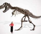 Life Size T-Rex Skeleton