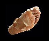 Baby Foot