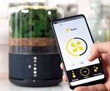 briiv Air Filter - Plant-Based Air Purifier