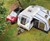 Bailey Discovery Camper Trailers Bailey Discovery Camper Trailers