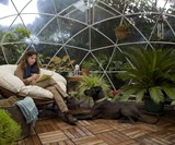 The Garden Igloo