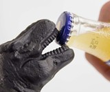 T-Rex Bottle Opener