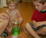 Kids Playing with Ant Farm Revolution