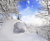 The Garden Igloo
