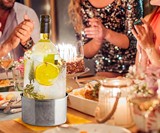 DIY Ice Mold Wine Bottle Chiller
