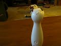 Animal Cruelty Laser Mate