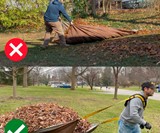 The ANT Tarp Dragging Yard Tool