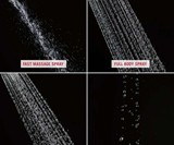 Delta In2ition Two-in-one Shower Head