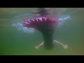 Finfolk Custom Mermaid Tails