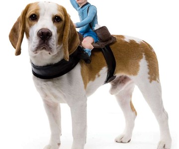 Mailman Dog Rider Costume