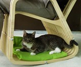 Human & Pet Rocking Chair