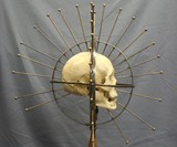 Craniometer