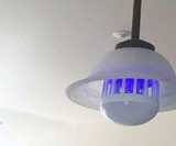 Zapplight Bulb & Bug Zapper