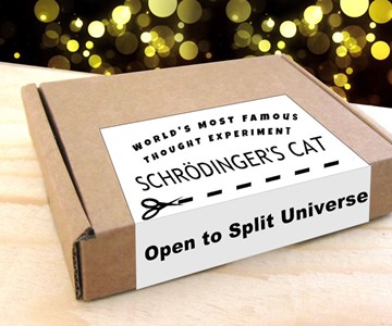 Schrodinger's Cat in a Box Thought Experiment Schrodinger's Cat in a Box Thought Experiment