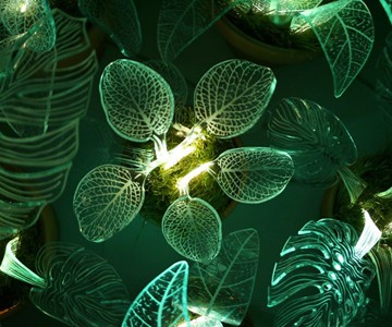 Lamp Plants Lamp Plants