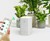 GrowCube - Smart Watering Kit GrowCube - Smart Watering Kit
