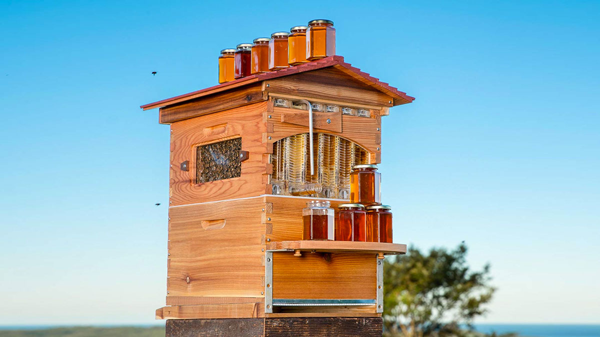 Flow Hives Langstroth Style Cedar Beehive Flow Hives Langstroth Style Cedar Beehive