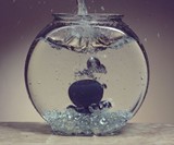Jive Jumbo Waterproof Bluetooth Speaker