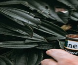 The Muncher Titanium Multi-Utensil