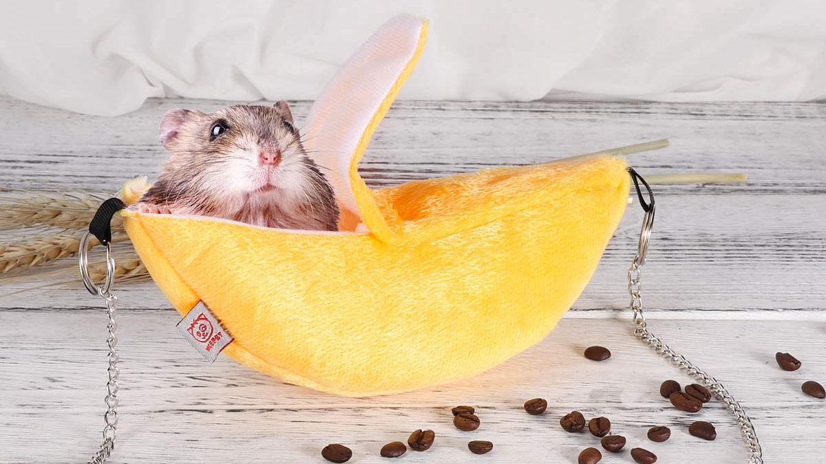 Banana Hamster Hammock