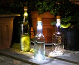 BottleLight