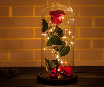 Rosephoria Beauty & The Beast Dome