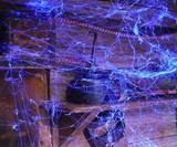 Webcaster Trigger-Fed Cobweb Gun