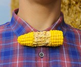 Foodie Bowties