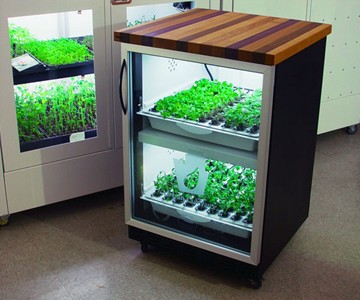 The Indoor Home Garden The Indoor Home Garden
