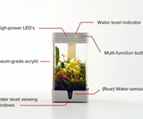 OrchidBox Smart Mini Terrarium