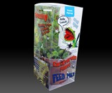 Venus Fly Trap Potted Plant