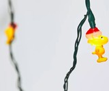 Woodstock String Lights