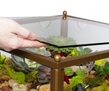 Terrarium Display End Table