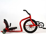 Leaux Racing Trike