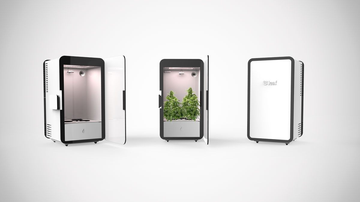 Leaf Plug N' Plant Cannabis Grow System Leaf Plug N' Plant Cannabis Grow System