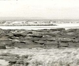 Barbarian Days: A Surfing Life