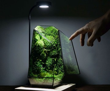 Ode to Design: 17 Standout & Stunning Gifts for 2021