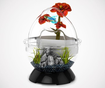 BioBubble Wonder Bubble Tunnel Fish Tank