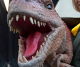 Dinosaur Arm Puppets