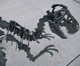 Giant Steel Velociraptor Puzzle