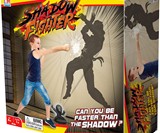 Shadow Fighter - Fight Against a Wall-Projected Ninja