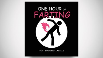 I dare you to Play the One Hour of Farting CD on your next second date.