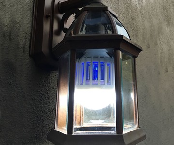 Zapplight Bulb & Bug Zapper Zapplight Bulb & Bug Zapper