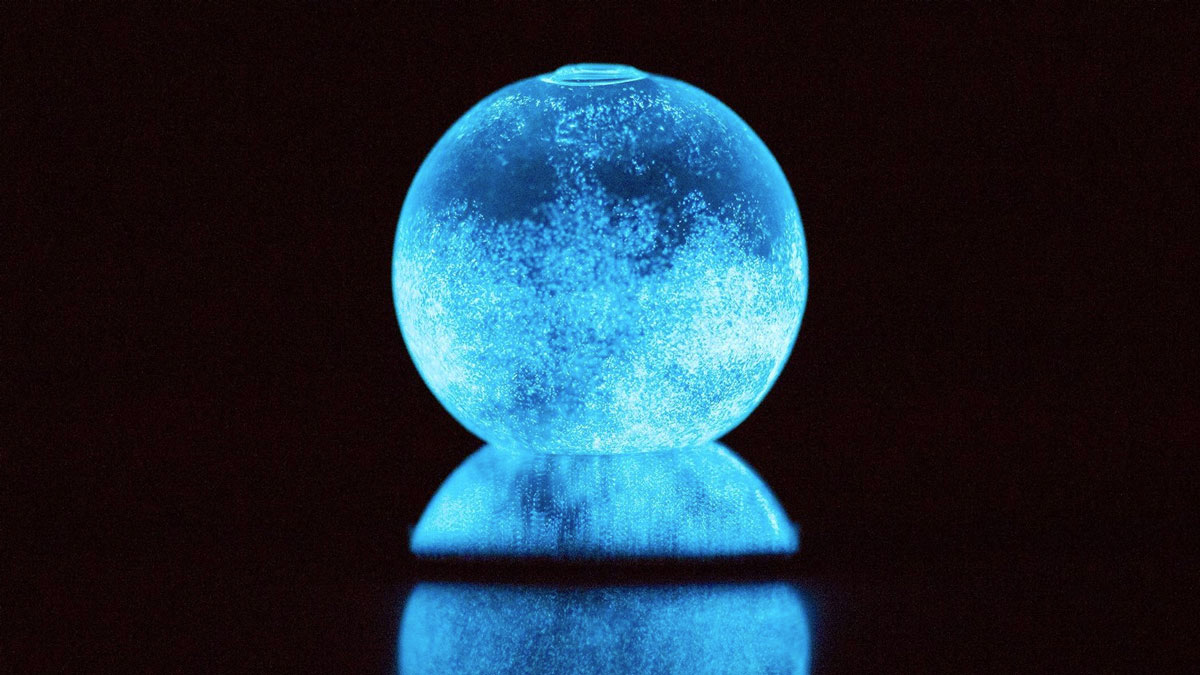 Dino Bioluminescent Plankton Sphere Dino Bioluminescent Plankton Sphere