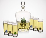 Agave Tequila Decanter Set & Glasses