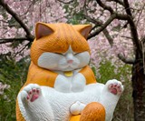 Crotch Staring Cat with Swappable Crotch Parts