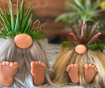 Gnome Planter Gnome Planter