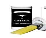 My Paint Saint Touchup Kit