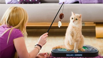 NFL Football Field Cat Scratcher Toy NFL Football Field Cat Scratcher Toy