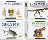 Skullduggery Eyewitness Casting Kits